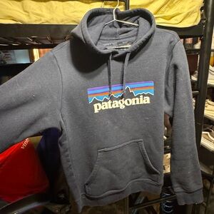 Patagonia Blue Sweater with Iconic Logo